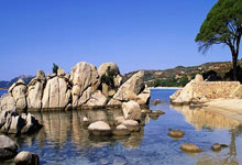 圣埃蒂安晋级欧洲联赛半决赛