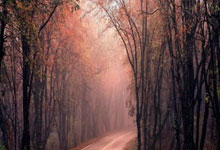 德国足球队表现出色,赢得全部比赛的胜利