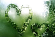 德国足球队表现出色，赢得全部比赛的胜利