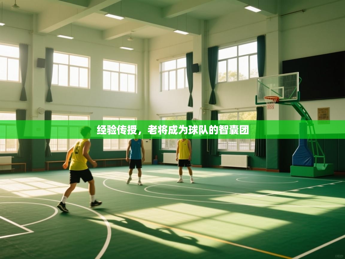 经验传授，老将成为球队的智囊团  第1张