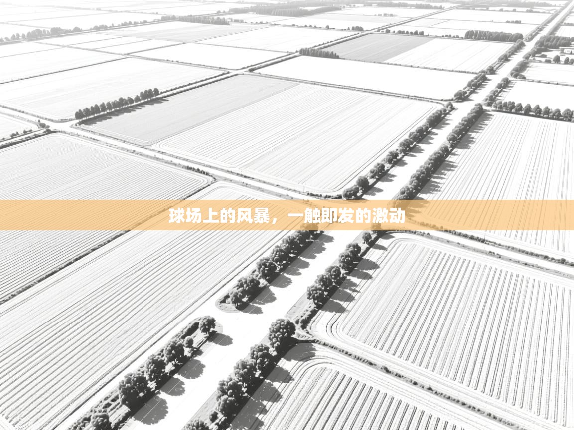 球场上的风暴，一触即发的激动  第1张