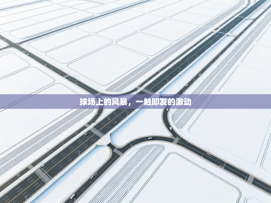 球场上的风暴，一触即发的激动  第2张