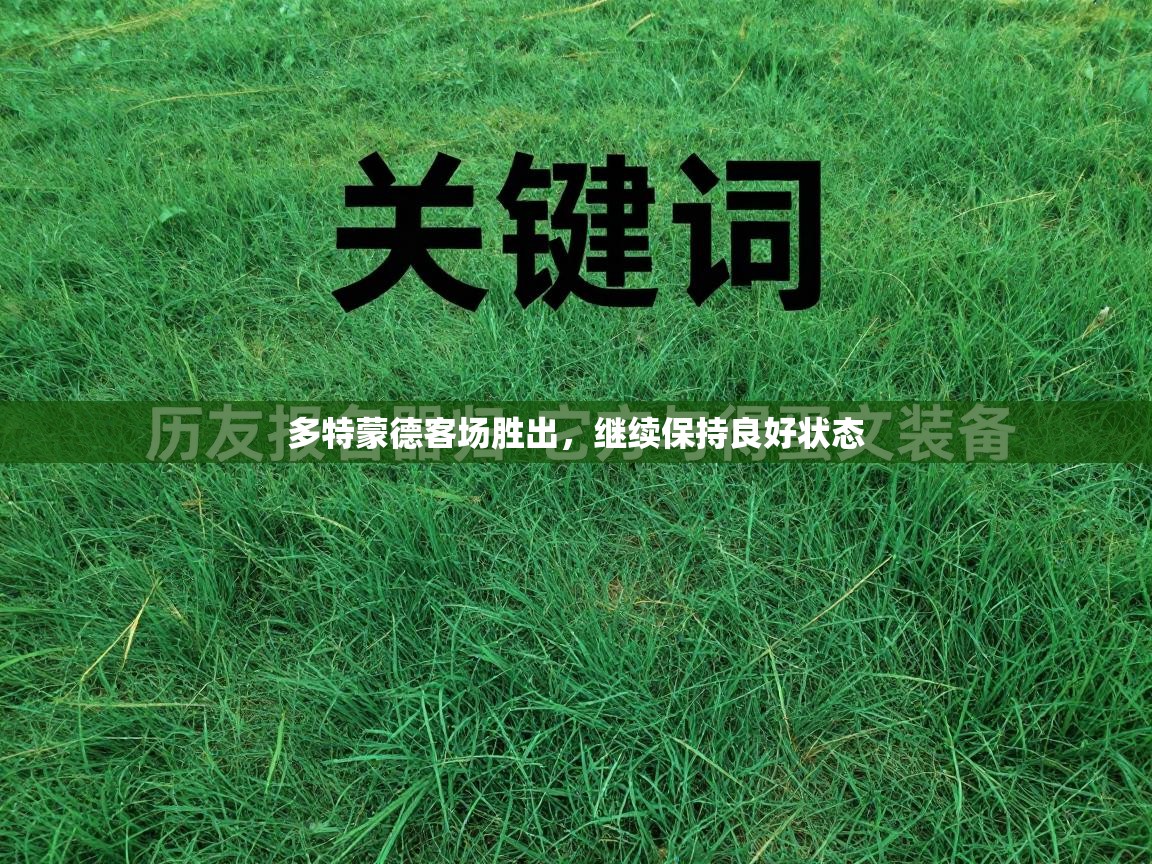 多特蒙德客场胜出，继续保持良好状态  第2张