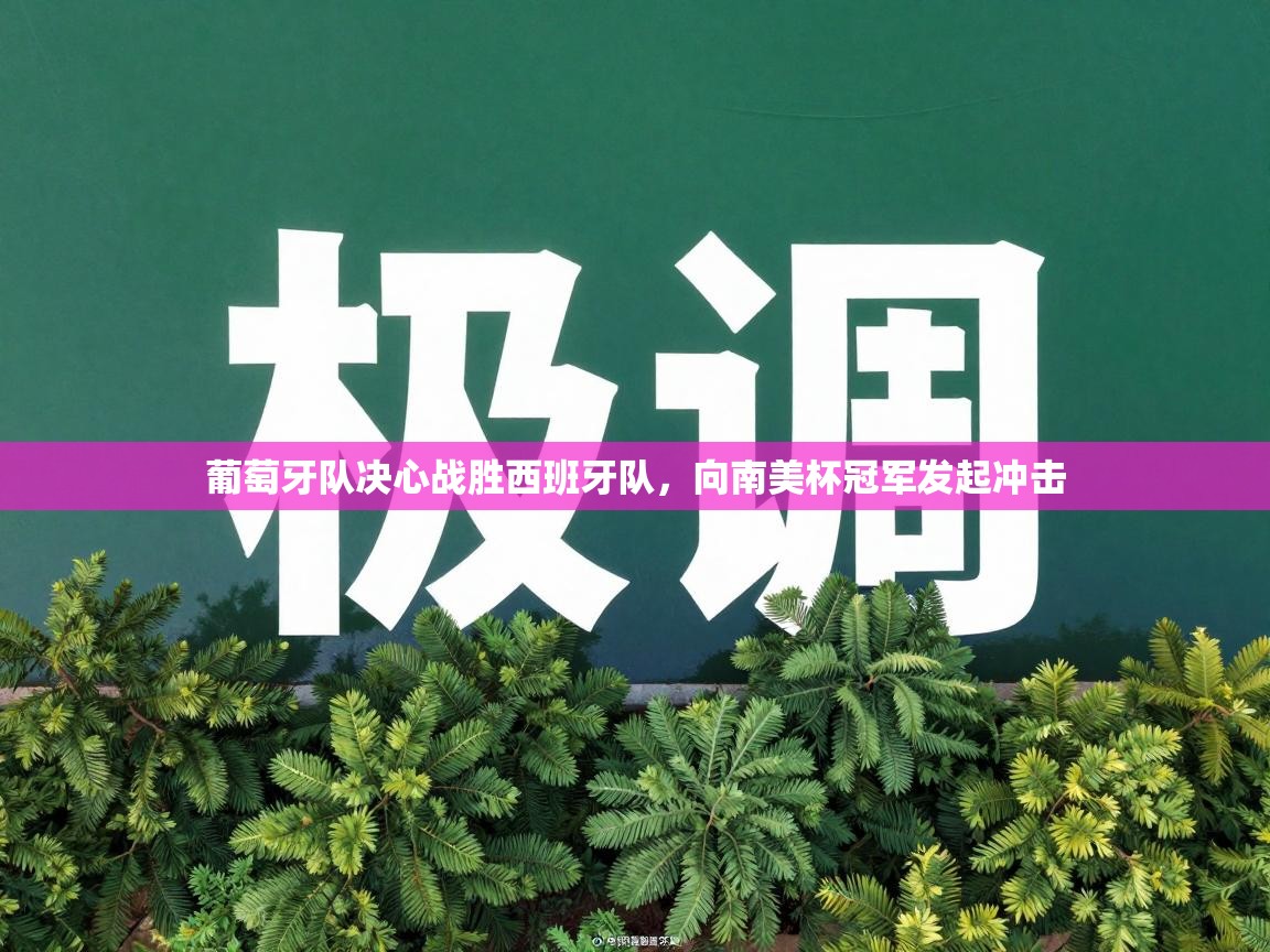 葡萄牙队决心战胜西班牙队，向南美杯冠军发起冲击  第1张