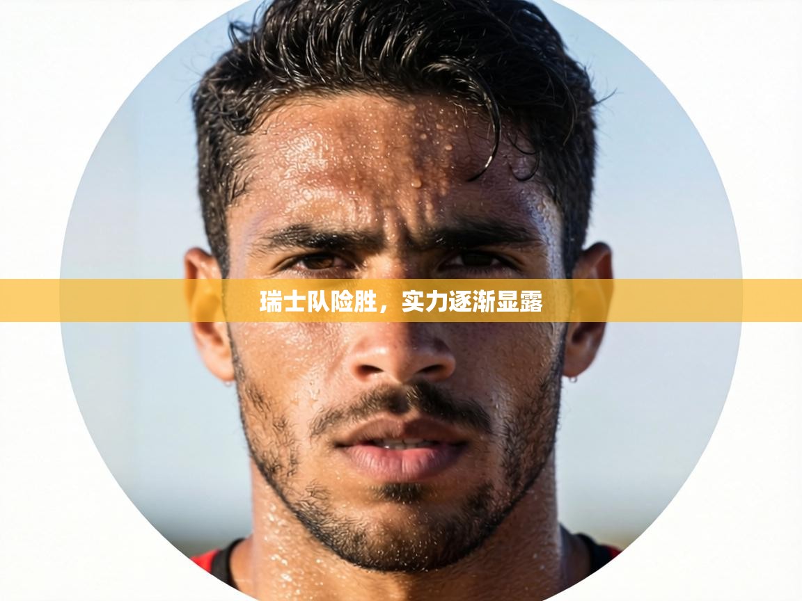 瑞士队险胜,实力逐渐显露 第1张